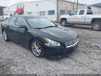  Salvage Nissan Maxima