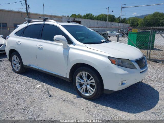  Salvage Lexus RX