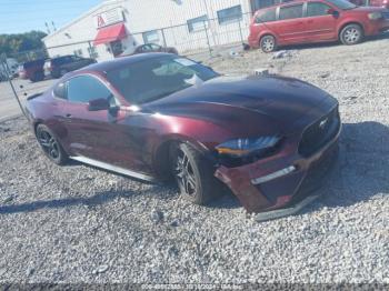  Salvage Ford Mustang