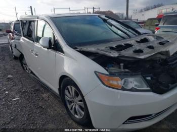  Salvage Honda Odyssey