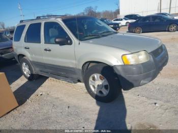  Salvage Ford Escape