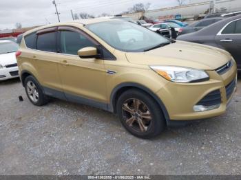  Salvage Ford Escape