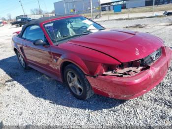  Salvage Ford Mustang