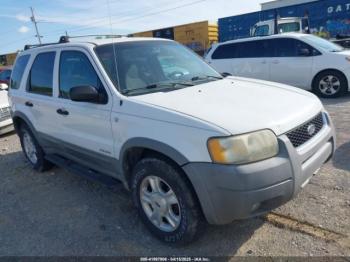  Salvage Ford Escape