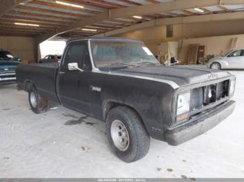  Salvage Dodge D-series