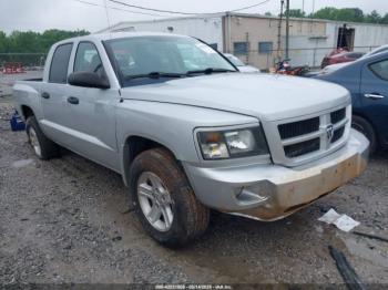  Salvage Dodge Dakota