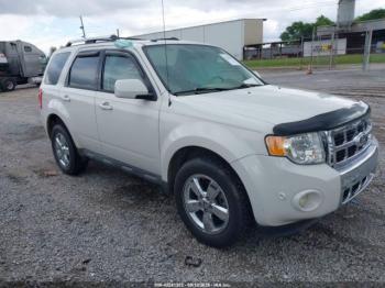  Salvage Ford Escape