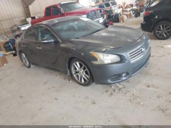  Salvage Nissan Maxima