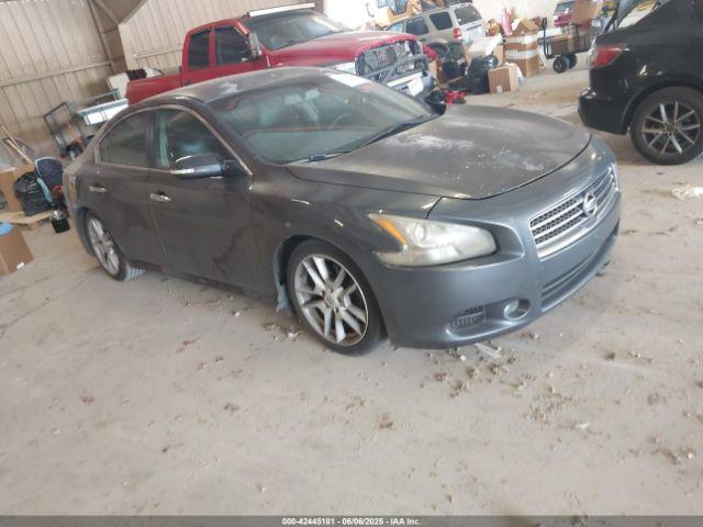  Salvage Nissan Maxima