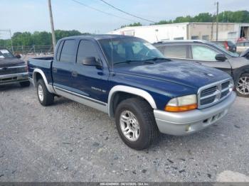  Salvage Dodge Dakota