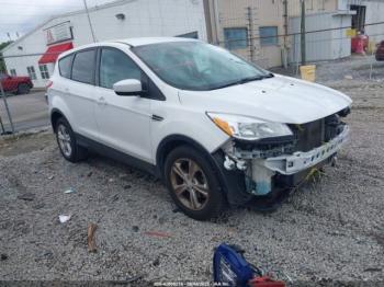  Salvage Ford Escape