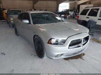  Salvage Dodge Charger