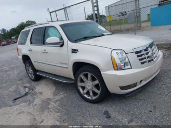  Salvage Cadillac Escalade