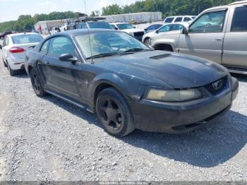  Salvage Ford Mustang