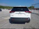 Toyota RAV4 Xle Image 10