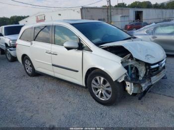  Salvage Honda Odyssey