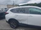 Honda CR-V Awd Ex-l Image 6