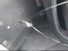 Hyundai KONA Limited Image 4