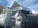 Peterbilt 388 Image 11