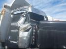 Peterbilt 388 Image 15