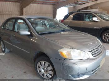  Salvage Toyota Corolla