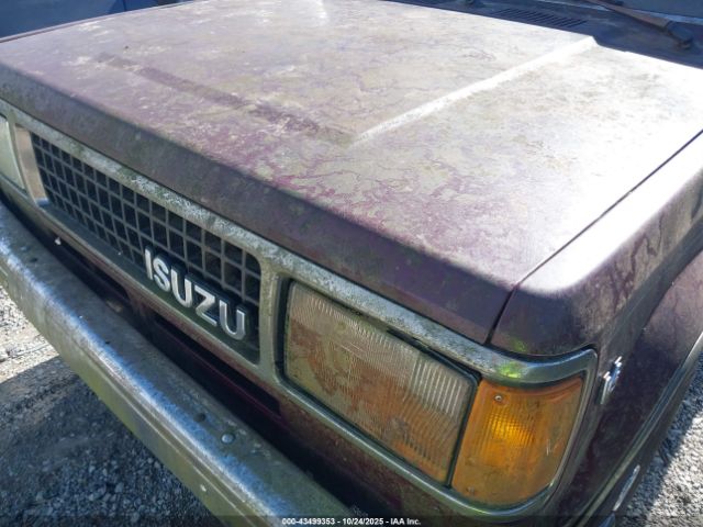 Isuzu Trooper Image 4