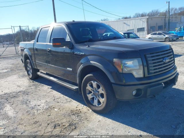 Ford F-150 Fx4 Image 1