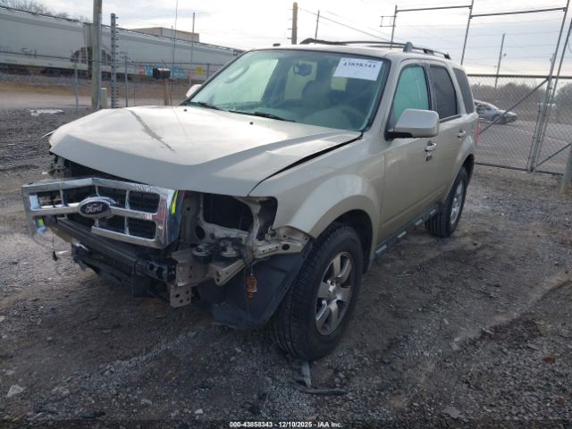 Ford Escape Limited Image 2