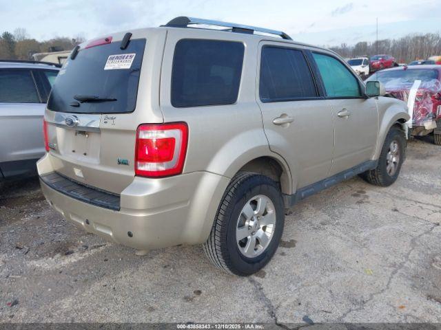 Ford Escape Limited Image 6