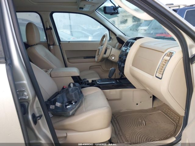 Ford Escape Limited Image 5