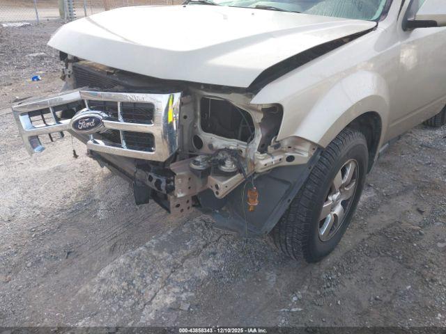 Ford Escape Limited Image 7