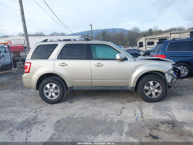 Ford Escape Limited Image 8