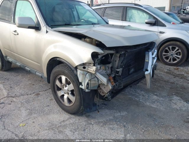 Ford Escape Limited Image 16