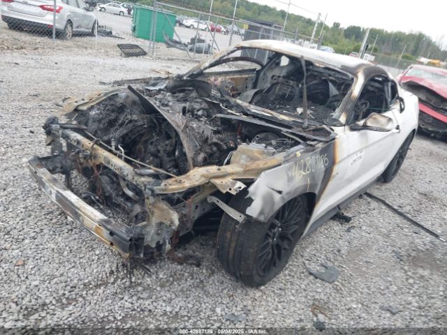 Ford Mustang Gt Image 4