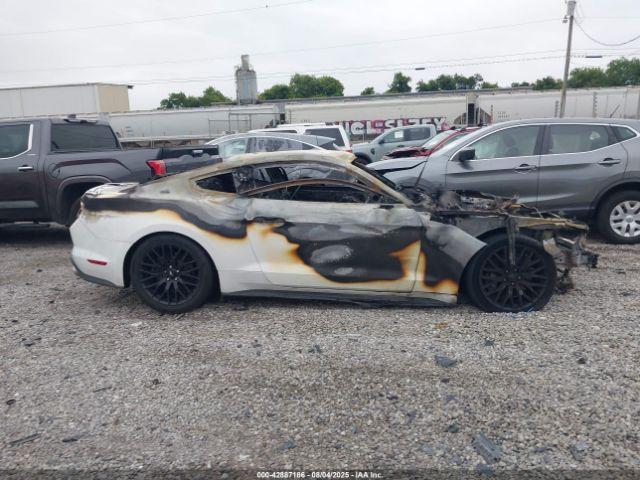 Ford Mustang Gt Image 13