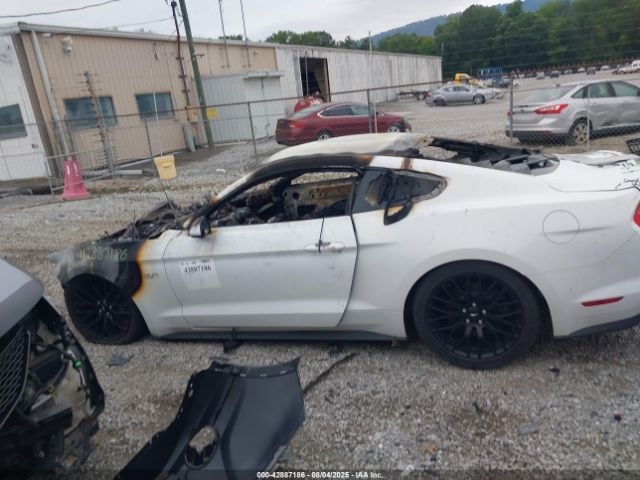 Ford Mustang Gt Image 11