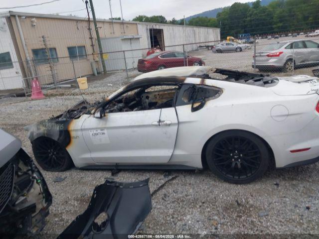 Ford Mustang Gt Image 11