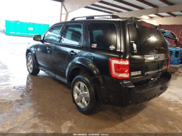 Ford Escape Limited Image 5