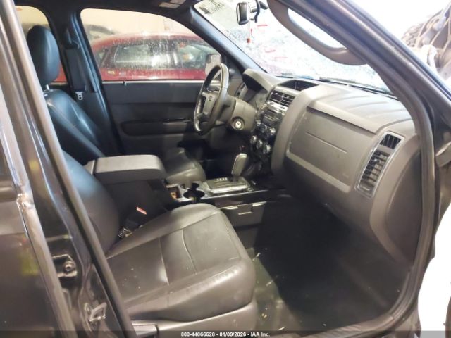 Ford Escape Limited Image 6